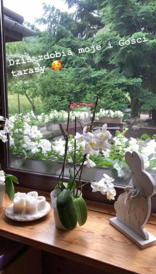 דירות שצ'צ'ירק Poncyljuszowka מראה חיצוני תמונה